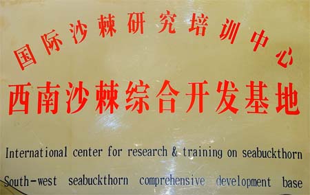 ��˾���О顰���Hɳ���о���Ӗ(x��n)���ġ��ߡ�����ɳ���C���_�l(f��)���ء�